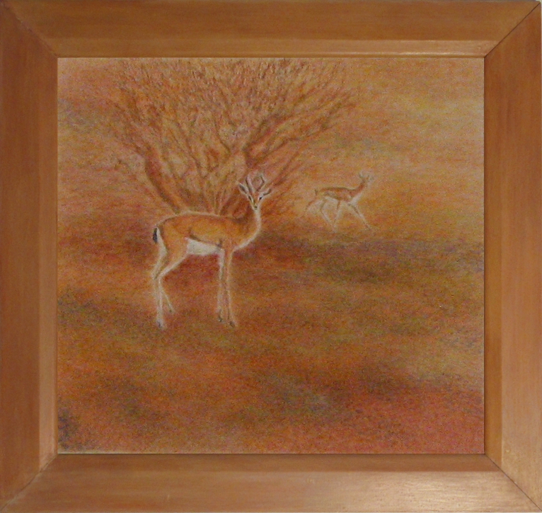 Gazelles of the Southern Arabian Desert.